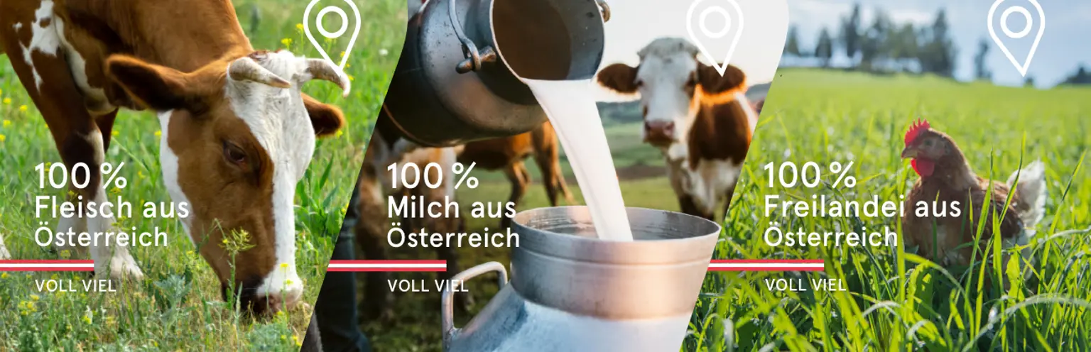 Care Herkunft Banner 1300X420 20260511